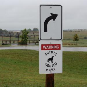 Coyote sign