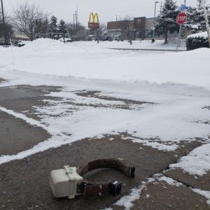 GPS collar found after programmed drop-off