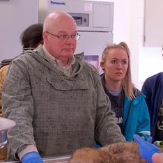 Chris Anchor in Chicago Magazine