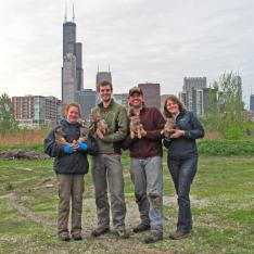 Researchers holding pups in front of Chicago skyline