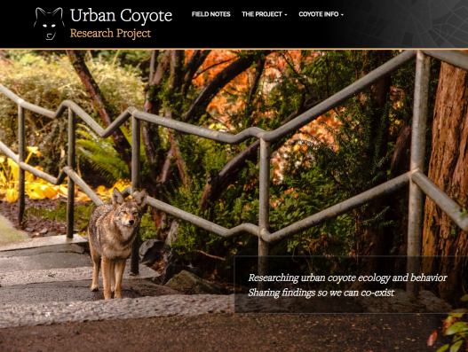 Urban Coyote Research Project front page screen shot
